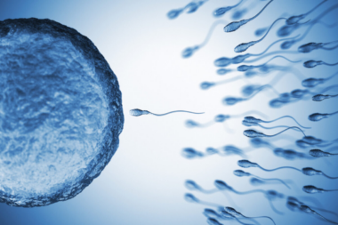 Can Dry Sperm Get You Pregnant?