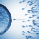 Can Dry Sperm Get You Pregnant?