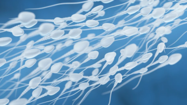 how much sperm is needed to get pregnant