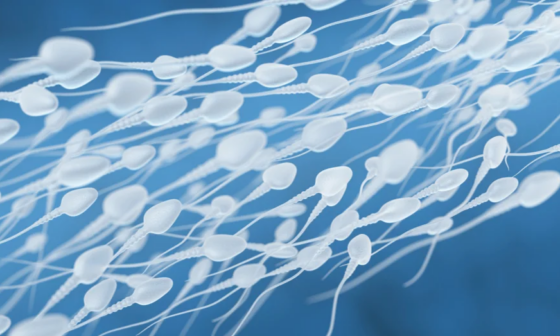 how much sperm is needed to get pregnant